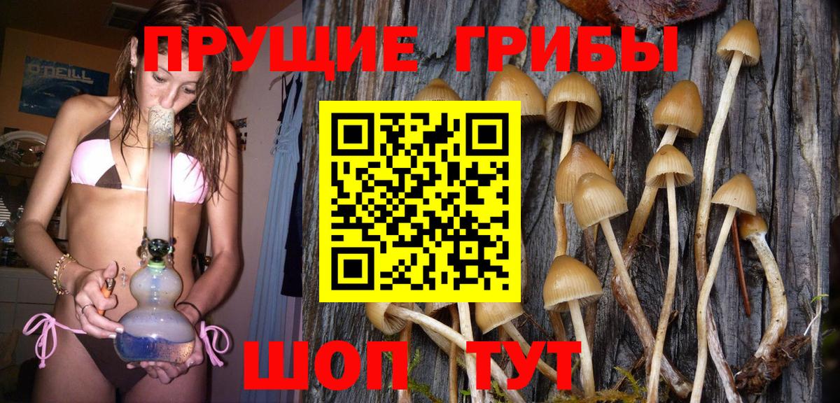 Галлюциногенные грибы мицелий Кулебаки