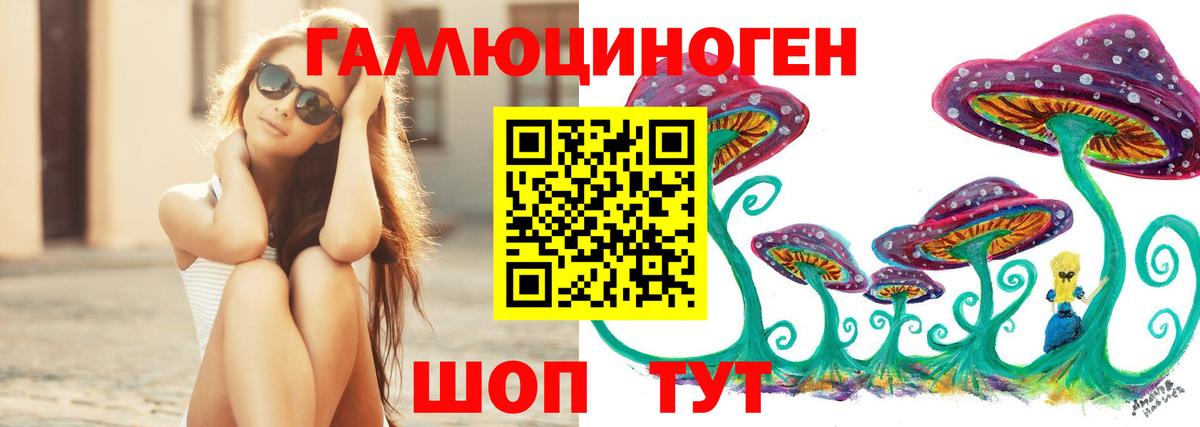Кулебаки  Галлюциногенные грибы GOLDEN TEACHER  Псилоцибиновые грибы мухоморы  как найти закладки  Вход с VPN 